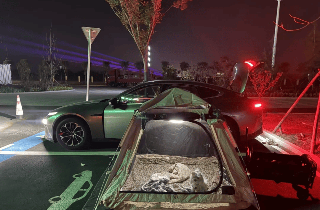 庆期间年轻人旅行掀起“帐篷过夜”热潮AG真人登录入口不住酒店住帐篷!国(图3) 庆期间年轻人旅行掀起“帐篷过夜”热潮AG真人登录入口不住酒店住帐篷!国(图3)